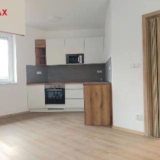 Pronájem bytu 1+1 45 m² Vizovice, Sadová