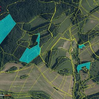 Prodej lesa 41 548 m² Pozděchov