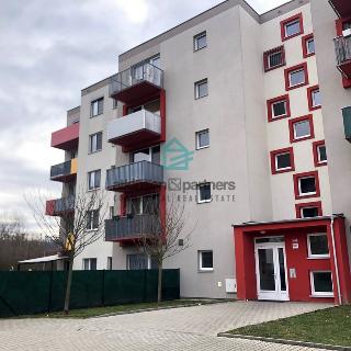 Pronájem bytu 2+kk 62 m² České Budějovice, Husova tř.