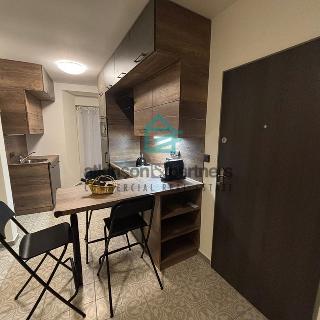 Pronájem bytu 1+kk a garsoniéry 30 m² Netolice, Gregorova