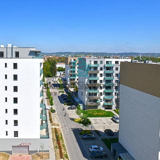 Pronájem bytu 1+kk a garsoniéry 27 m² České Budějovice, Na Zlaté stoce