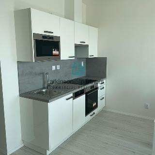 Pronájem bytu 2+kk 46 m² České Budějovice, Na Zlaté stoce