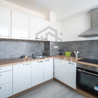 Pronájem bytu 3+1 72 m² Hradec Králové, Hrubínova