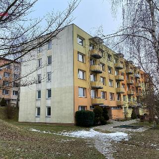 Prodej bytu 2+1 65 m² Dačice, Dlouhá