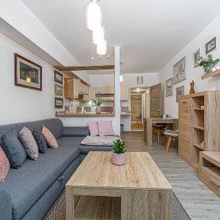 Prodej bytu 1+kk a garsoniéry 33 m² Hradec Králové, Brožíkova