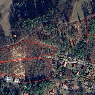 Prodej lesa 28329 m&sup2; Velká Lhota
