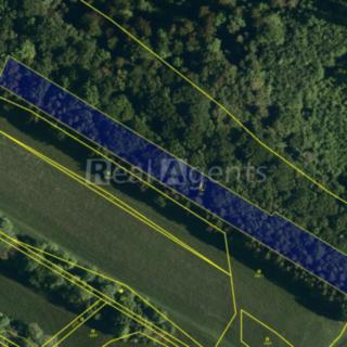 Prodej lesa 4069 m² Rybí