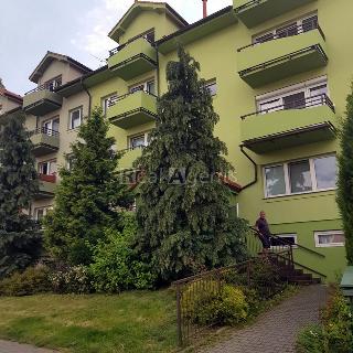 Pronájem bytu 1+kk a garsoniéry 26 m² Nový Jičín, B. Martinů