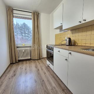 Pronájem bytu 1+kk a garsoniéry 25 m² Nový Jičín, Za Korunou