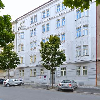 Pronájem bytu 2+kk 74 m² Praha, Laubova