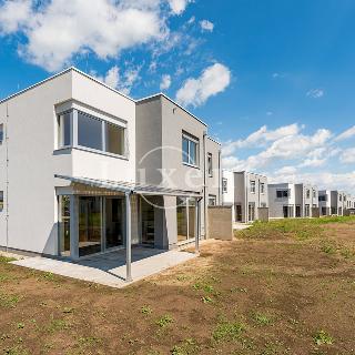 Prodej rodinného domu 173 m² Chýně, Cenomanská