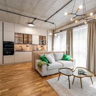 Prodej bytu 1+kk a garsoniéry 40 m² Praha, Pechlátova