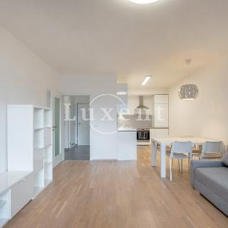 Pronájem bytu 2+kk 56 m² Praha, Nekvasilova