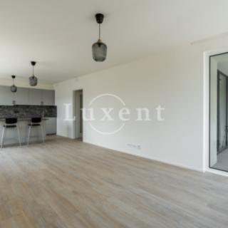 Pronájem bytu 3+kk 85 m² Praha, Holečkova
