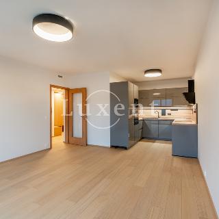 Pronájem bytu 2+kk 61 m² Praha, Vorařská