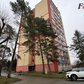 Pronájem bytu 2+1 54 m² Česká Lípa, Jižní