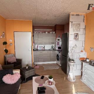 Pronájem bytu 1+kk a garsoniéry 30 m² Nový Bor, Svojsíkova