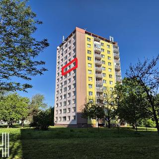 Pronájem bytu 2+1 58 m² Prostějov, Dolní