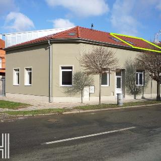 Pronájem bytu 2+kk 60 m² Prostějov, Určická