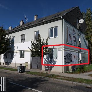 Pronájem bytu 1+1 40 m² Prostějov, Fanderlíkova