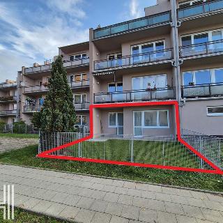 Pronájem bytu 1+1 32 m² Kostelec na Hané, Sídliště Sport