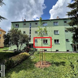 Prodej bytu 2+1 52 m² Prostějov, Jezdecká