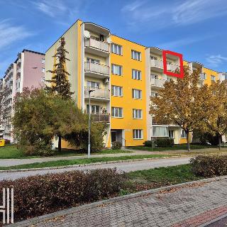 Prodej bytu 3+1 73 m² Prostějov, sídl. Svobody