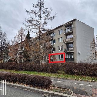 Pronájem bytu 1+1 40 m² Prostějov, Brněnská