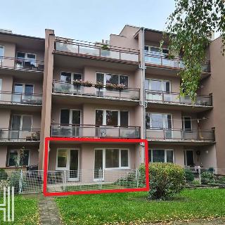 Pronájem bytu 1+1 32 m² Kostelec na Hané, Sídliště Sport