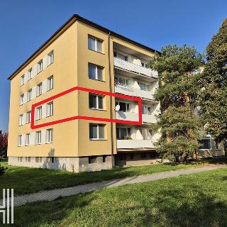 Prodej bytu 3+1 79 m² Prostějov, Boženy Němcové