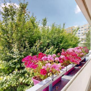 Prodej bytu 3+1 77 m² Praha