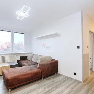 Pronájem bytu 2+kk 43 m² Praha, Letovská