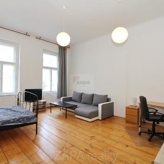 Pronájem bytu 1+1 45 m² Praha, Blahníkova