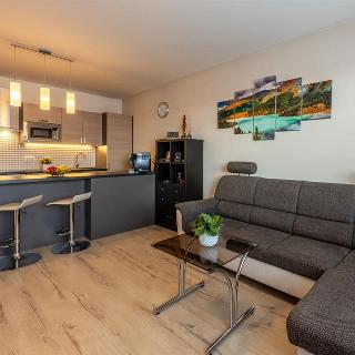 Pronájem bytu 2+kk 58 m² Plzeň, Guldenerova