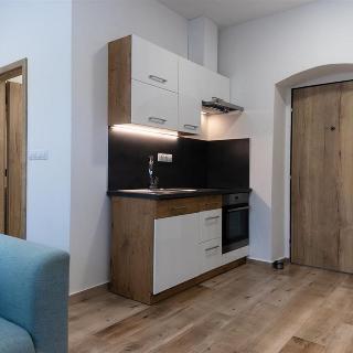 Pronájem bytu 1+kk a garsoniéry 23 m² Jihlava, Seifertova