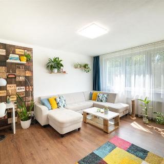 Prodej bytu 4+1 79 m² Olomouc, Dlouhá