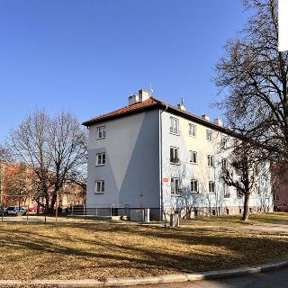 Pronájem bytu 2+1 48 m² Plzeň, Družstevní