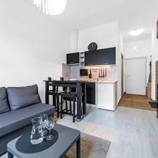 Pronájem bytu 1+kk, garsoniery 24 m² Janovice nad Úhlavou