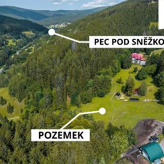 Prodej louky 7 113 m² Pec pod Sněžkou