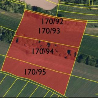 Prodej zemědělské půdy 9367 m&sup2; Brumovice