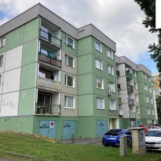 Pronájem bytu 2+kk 35 m² Plzeň, Bzenecká