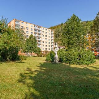 Prodej bytu 3+1 66 m² Nejdek, Rolavská