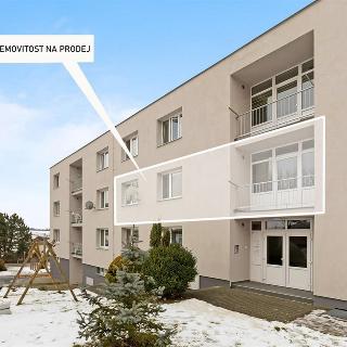 Prodej bytu 3+1 68 m² Polička, Hegerova