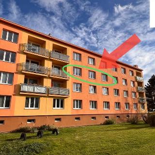 Prodej bytu 2+1 56 m² Třemošná, Sídliště