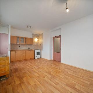 Prodej bytu 1+1 43 m² Ohaře