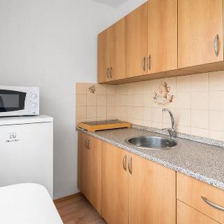 Pronájem bytu 1+kk a garsoniéry 28 m² Pardubice, Jiřího Tomana