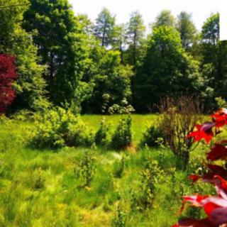 Prodej stavební parcely 2136 m&sup2; Radešín