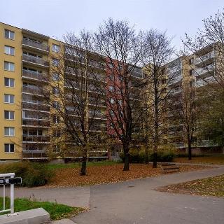 Prodej bytu 1+kk a garsoniéry 28 m² Brno, Okrouhlá