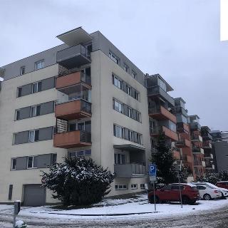 Pronájem bytu 1+kk a garsoniéry 53 m² Hradec Králové, Labská louka