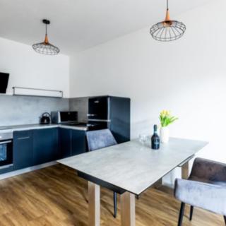 Pronájem bytu 2+kk 47 m² Plzeň